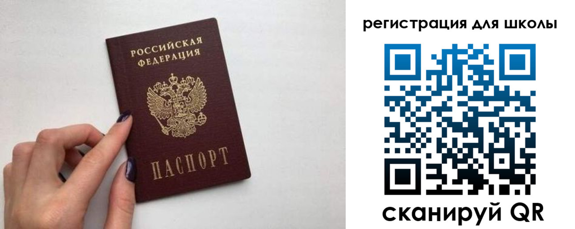 прописка поиск в Козельске